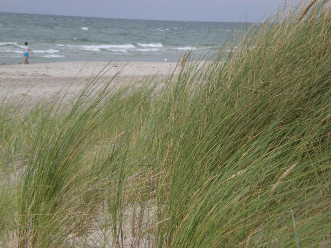 Achtern - Diek - Am Strand Apartment Zingst Exterior photo