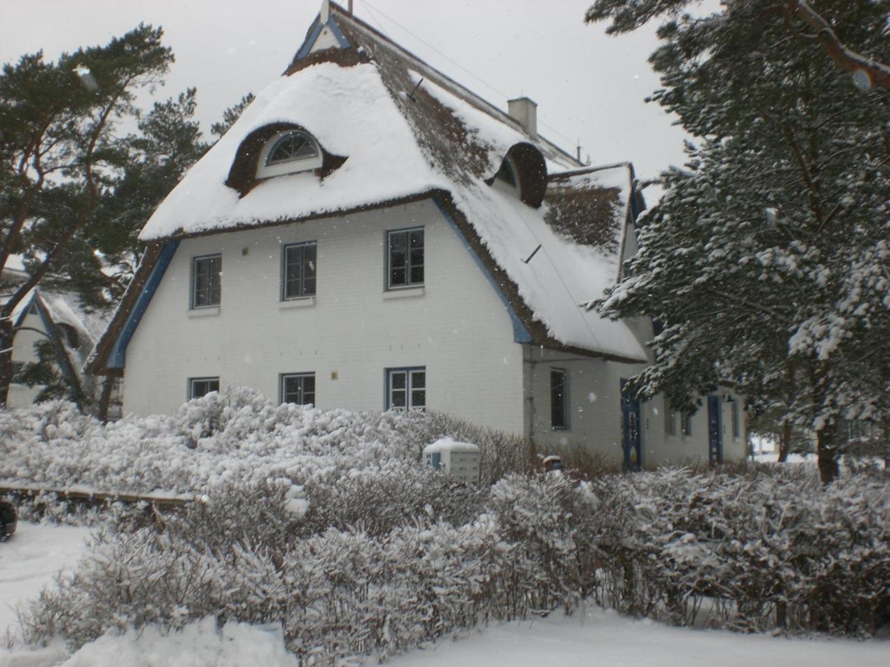 Achtern - Diek - Am Strand Apartment Zingst Exterior photo